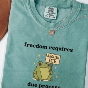 Abolish ICE Shirt, Frog Comfort Colors Shirt