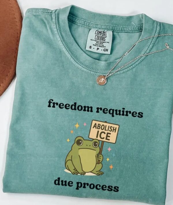 Abolish ICE Shirt, Frog Comfort Colors Shirt