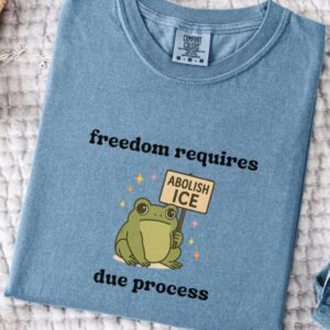 Abolish ICE Shirt, Frog Comfort Colors Shirt america