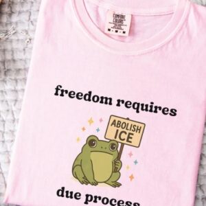 Abolish ICE Shirt, Frog Comfort Colors Shirt american