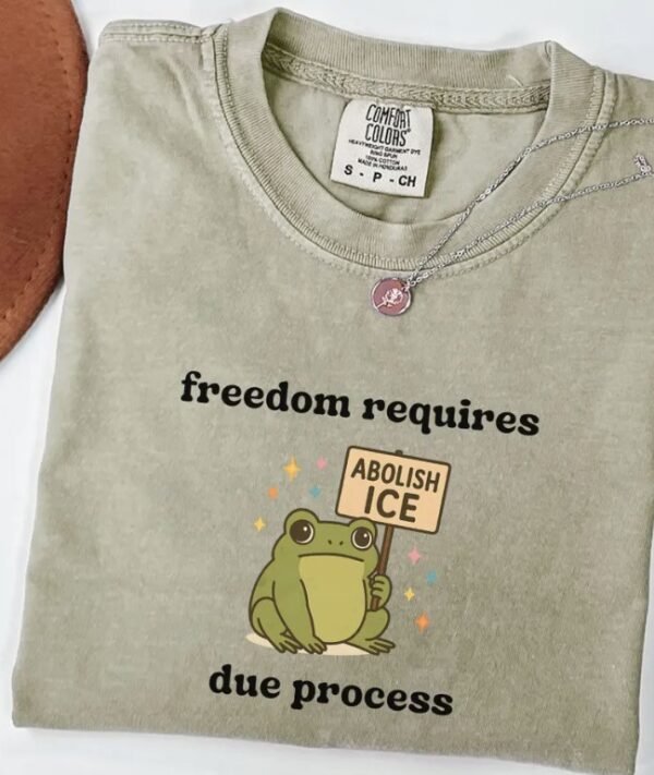 Abolish ICE Shirt, Frog Comfort Colors Shirt us