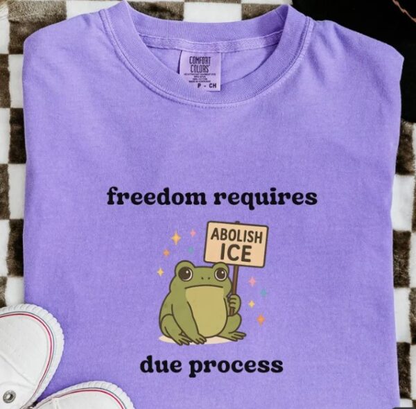 Abolish ICE Shirt, Frog Comfort Colors Shirts america