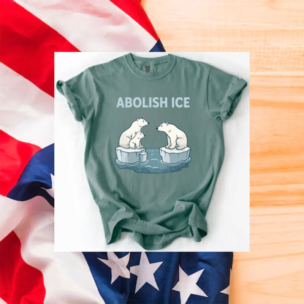 Abolish-ICE-Shirt,-Social-Justice-Shirt-american