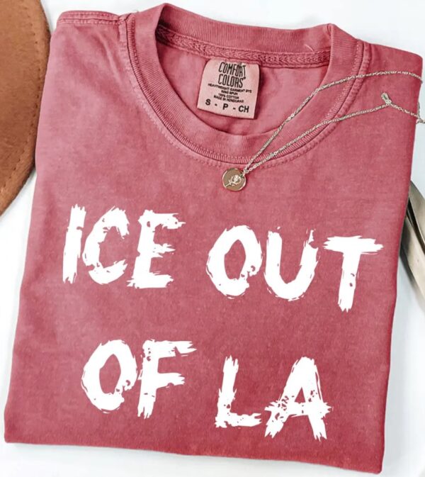 Abolish Ice Shirt, ICE Protest Shirt