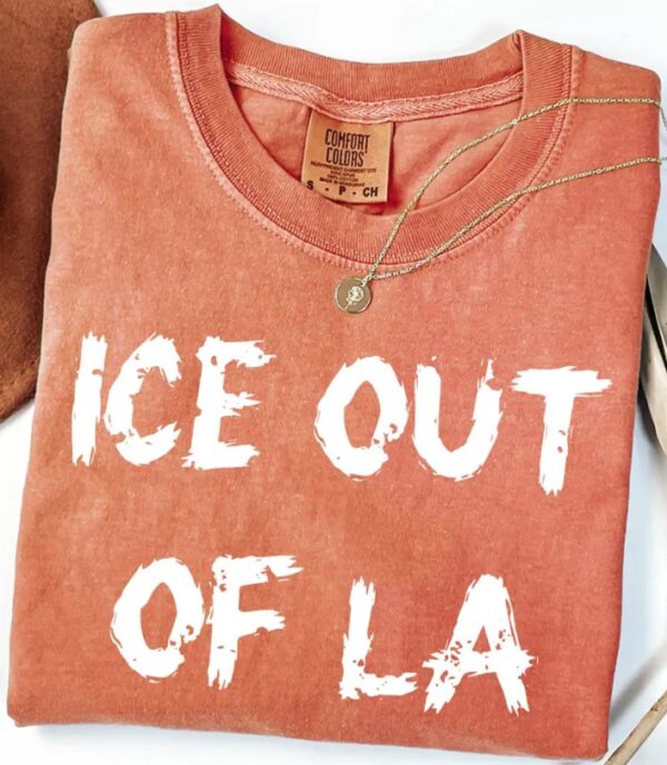 Abolish Ice Shirt, ICE Protest Shirt usa