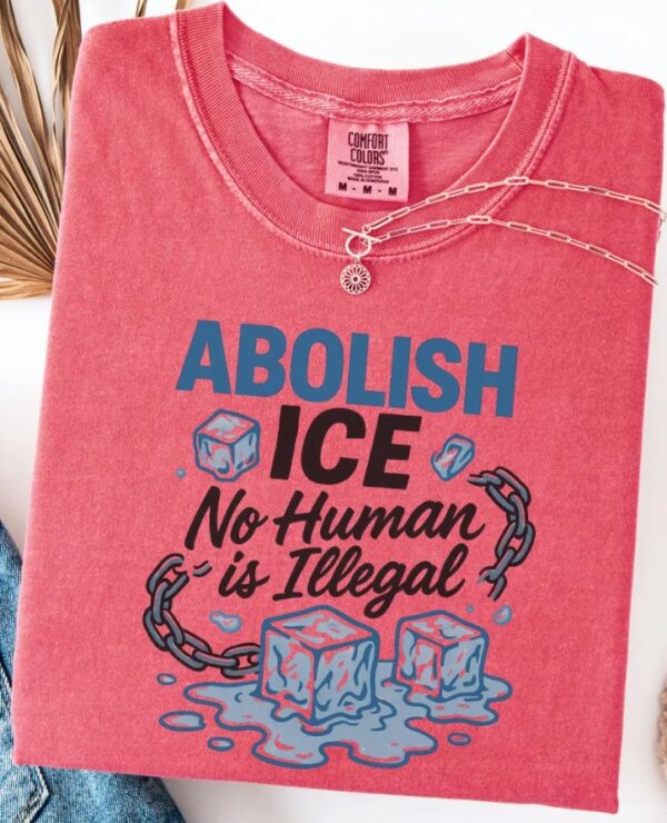 Abolish Ice T-Shirt, No Human Is illegal Shirt america